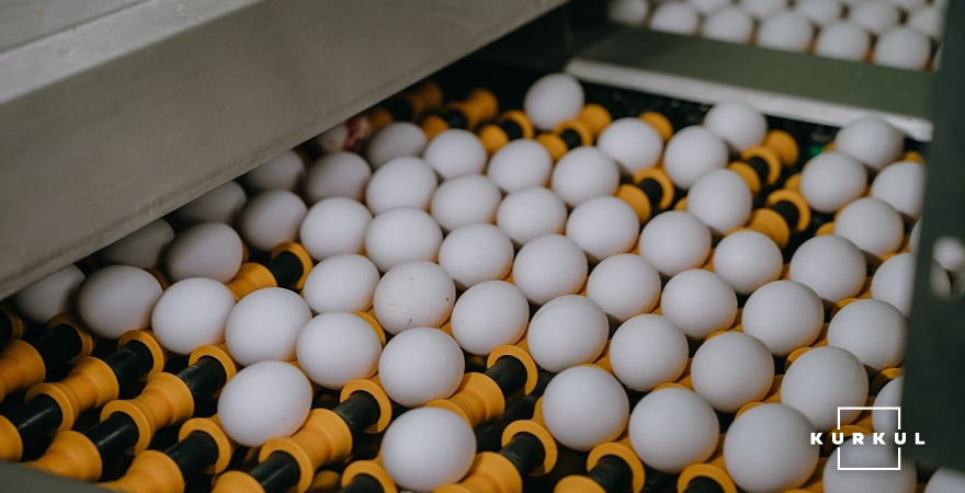 Виробництво яєць у 2021 р. зменшиться порівняно з 2020 р. на 4,3%